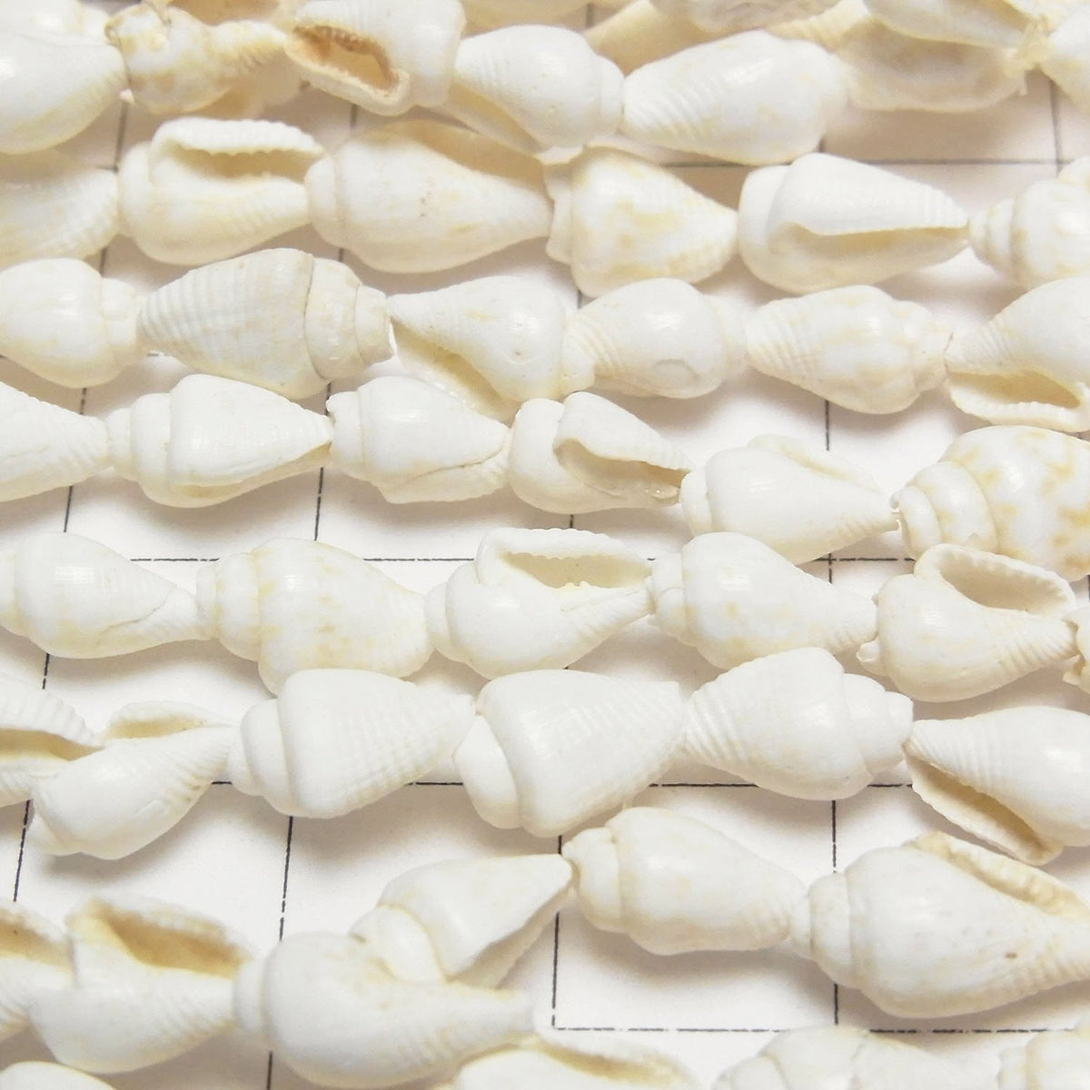 Spiral Shell beads Vertical Hole 1strand beads (aprx.57inch / 146cm)