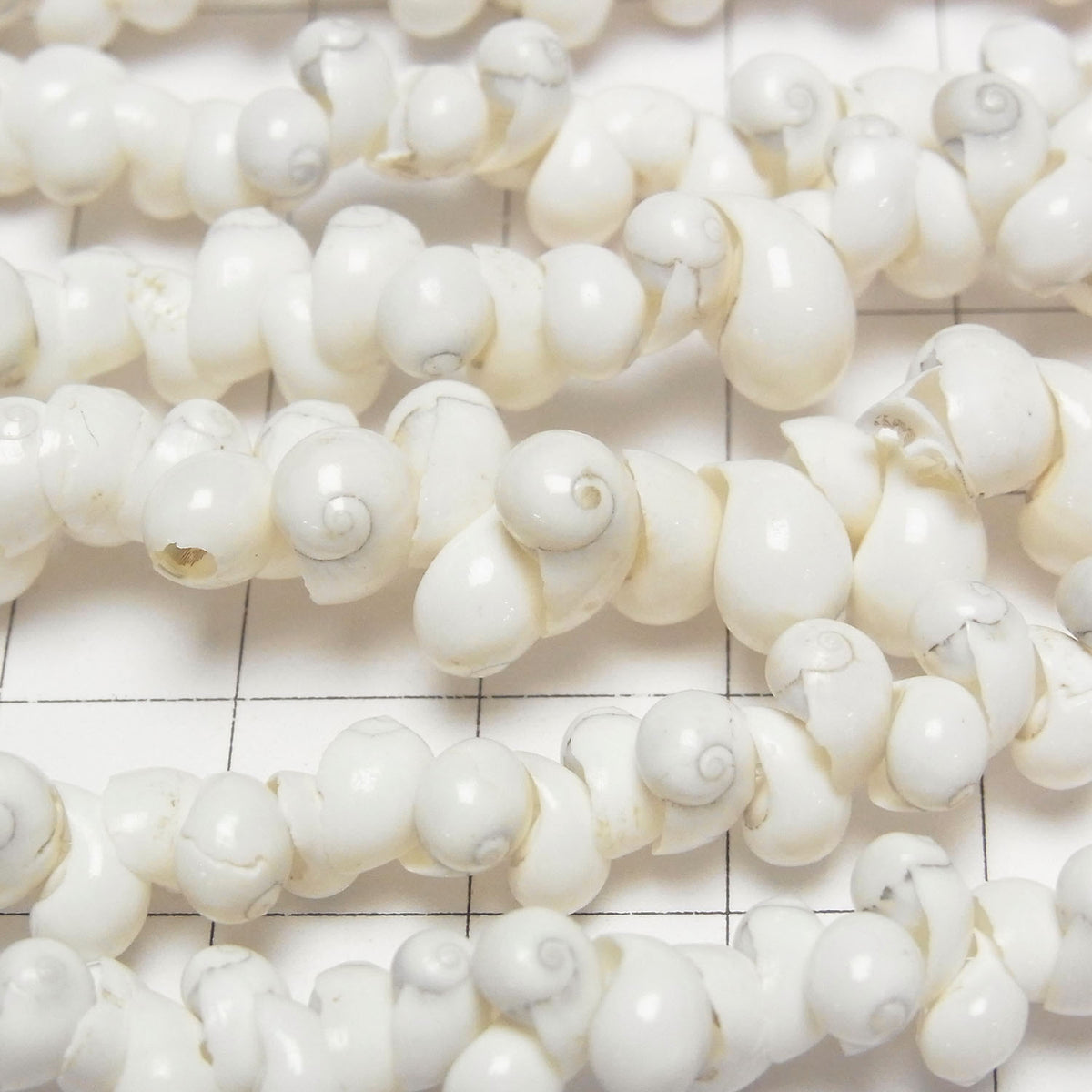Mongo Shell 1strand beads (aprx.34inch/86cm)