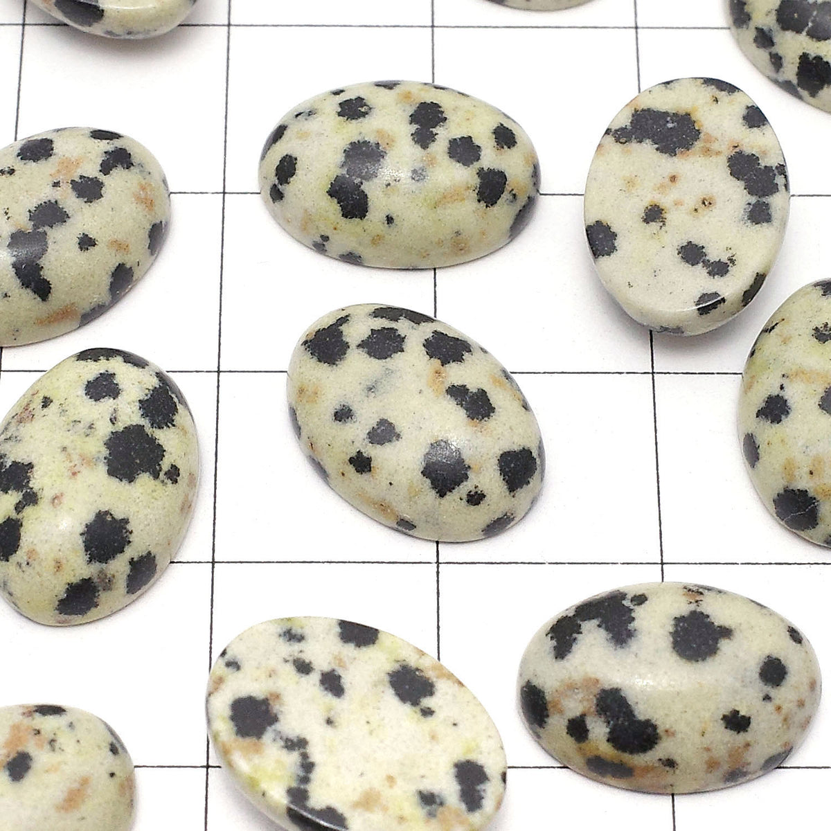 Dalmatian Jasper Oval Cabochon 14x10mm 5pcs