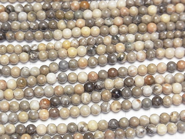 [Video] Fossil Coral  Round 4mm 1strand beads (aprx.15inch/38cm)