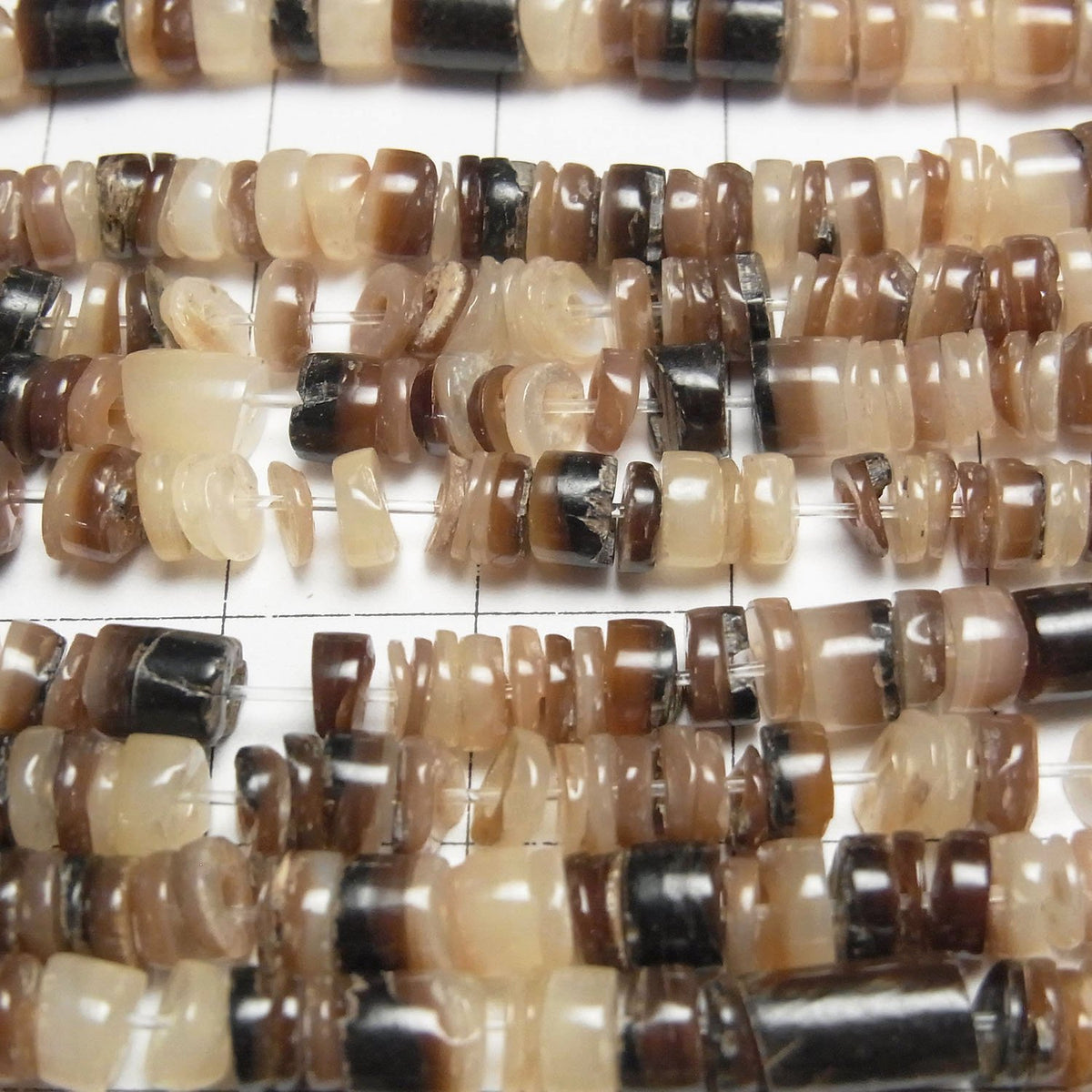 Brown Lip Shell Rondelle (Heishi)5x5x1mm 1strand beads (aprx.24inch/60cm)