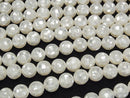 Mosaic Shell White Round 10mm 1/4 or 1strand beads (aprx.15inch/36cm)