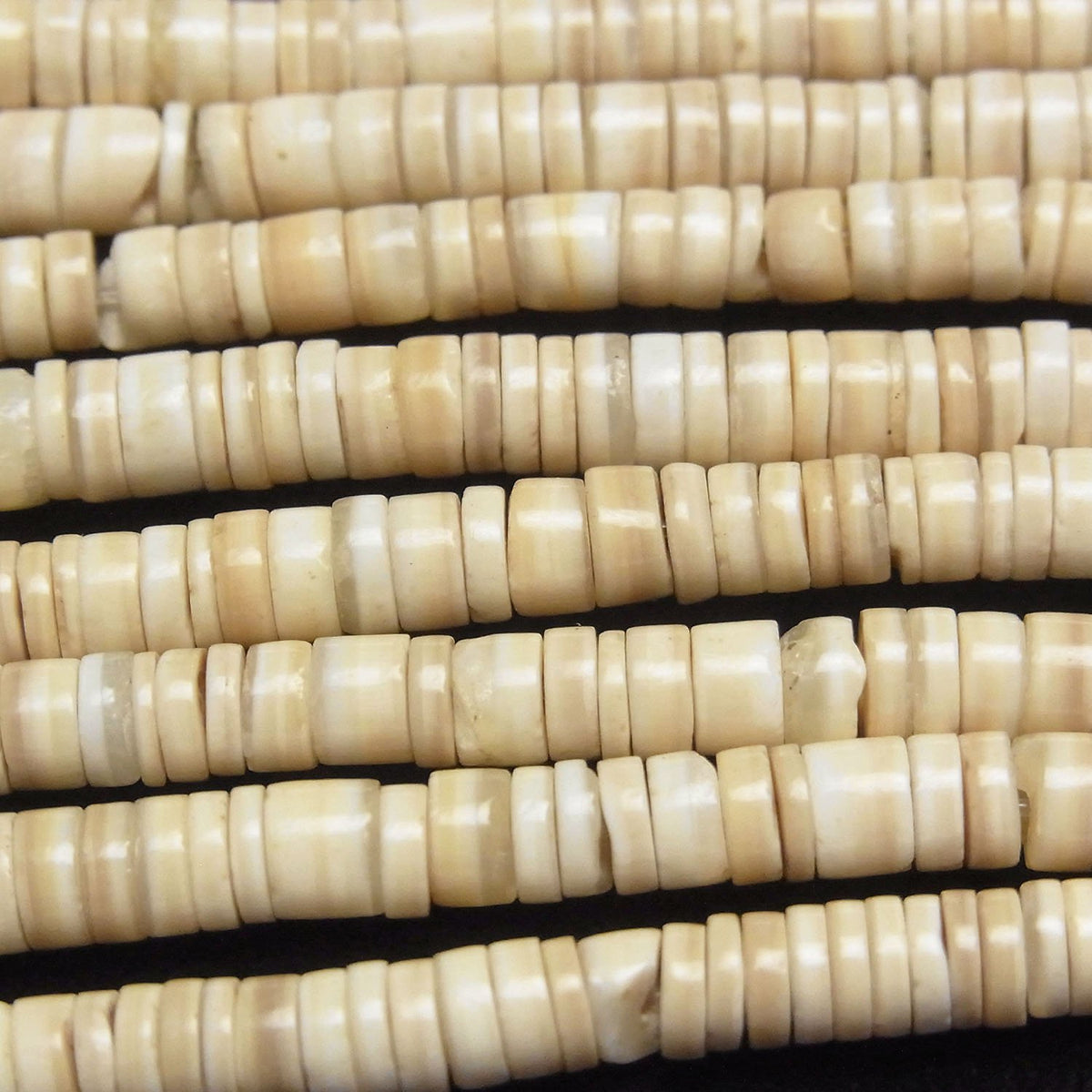 Striped Beige Shell Rondelle (Heishi)5x5x1.5mm half or 1strand beads (aprx.23inch/58cm)