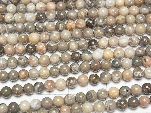 Fossil Coral  Round 6mm 1strand beads (aprx.15inch/37cm)