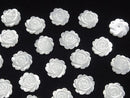 High quality White Shell (Silver-lip Oyster) Rose 12 mm [Half Drilled Hole] 4pcs $6.79!