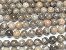 [Video] Fossil Coral  Round 12mm half or 1strand beads (aprx.15inch/36cm)
