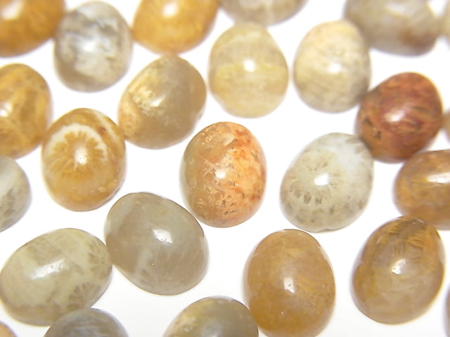 [Video] Fossil Coral Oval Cabochon 8x6mm 5pcs