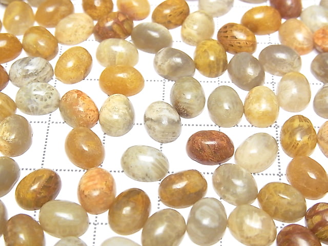 [Video] Fossil Coral Oval Cabochon 8x6mm 5pcs