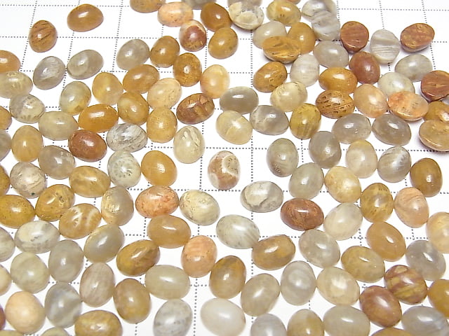 [Video] Fossil Coral Oval Cabochon 8x6mm 5pcs