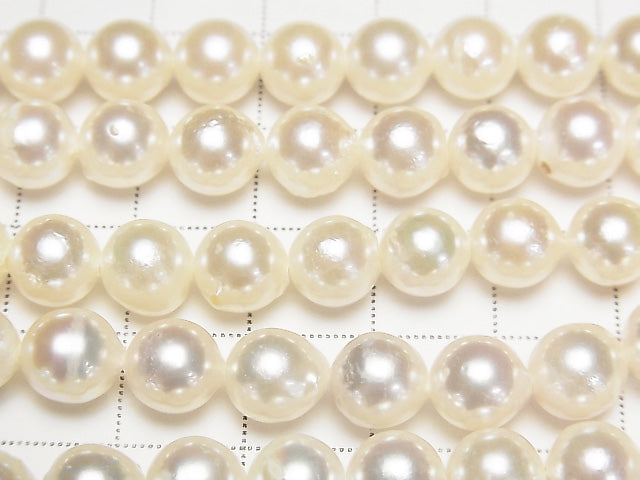 [Video] Japanese Akoya Pearl AAA- Semi Round 7.5-8mm White half or 1strand beads (aprx.15inch/38cm)
