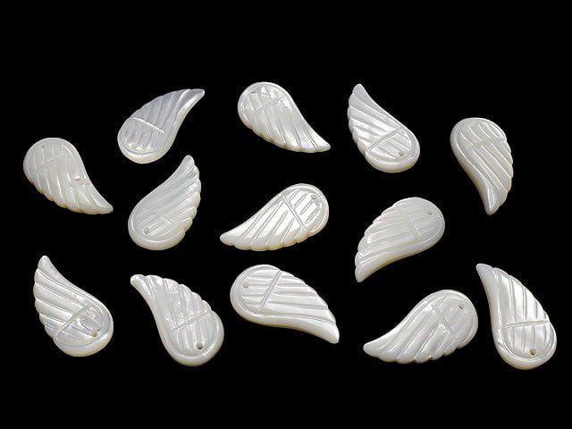 [Video] High quality white Shell AAA Angel Wing 23 x 12 x 5 mm 3 pcs
