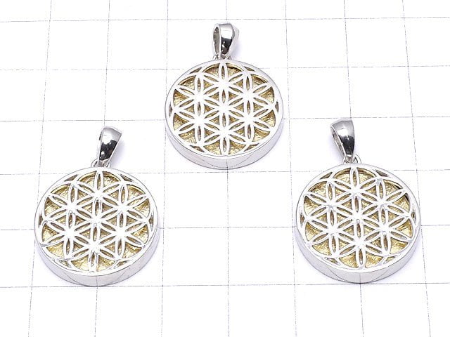 Meteorite Flower of Life Designed Coin Pendant 20 mm Gold Color Silver 925