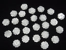 High quality White Shell (Silver-lip Oyster) Rose 12 mm [Half Drilled Hole] 4pcs $6.79!