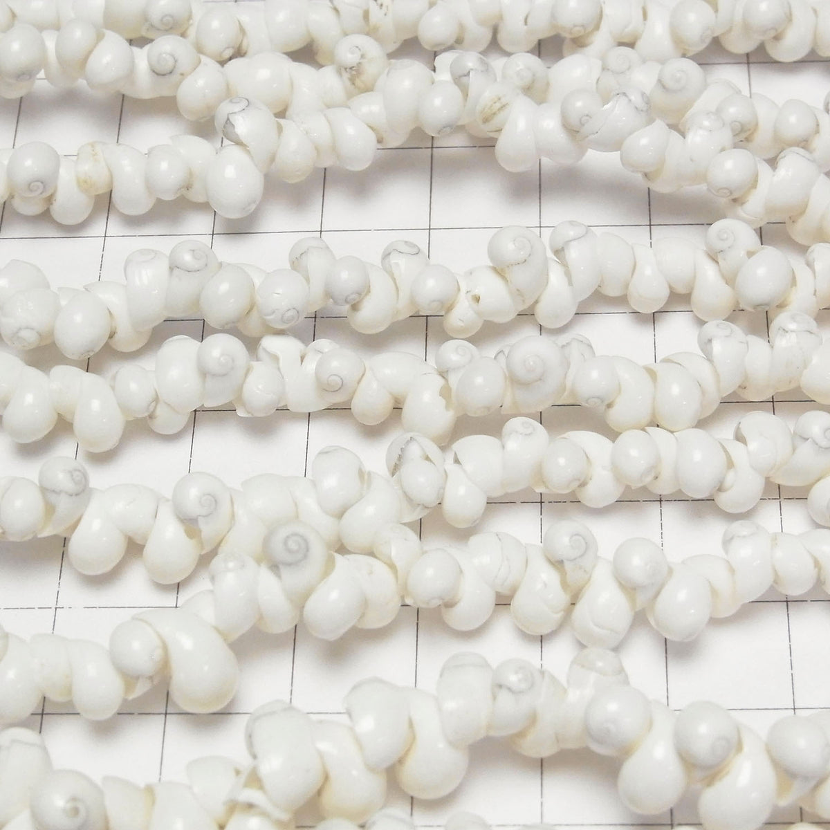 Mongo Shell 1strand beads (aprx.34inch/86cm)