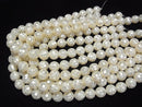 Mosaic Shell White Round 12mm 1/4 or 1strand beads (aprx.15inch/36cm)