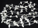 High Quality Mother of Pearl MOP AAA Cow Shape White 1strand (Approx 14pcs)