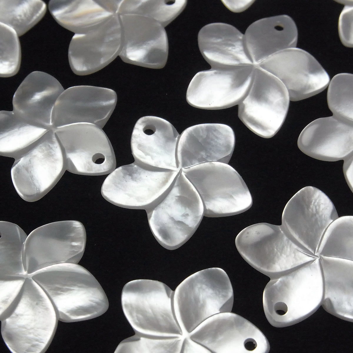 High-Quality White Shell AAA Flower 20mm 2pcs