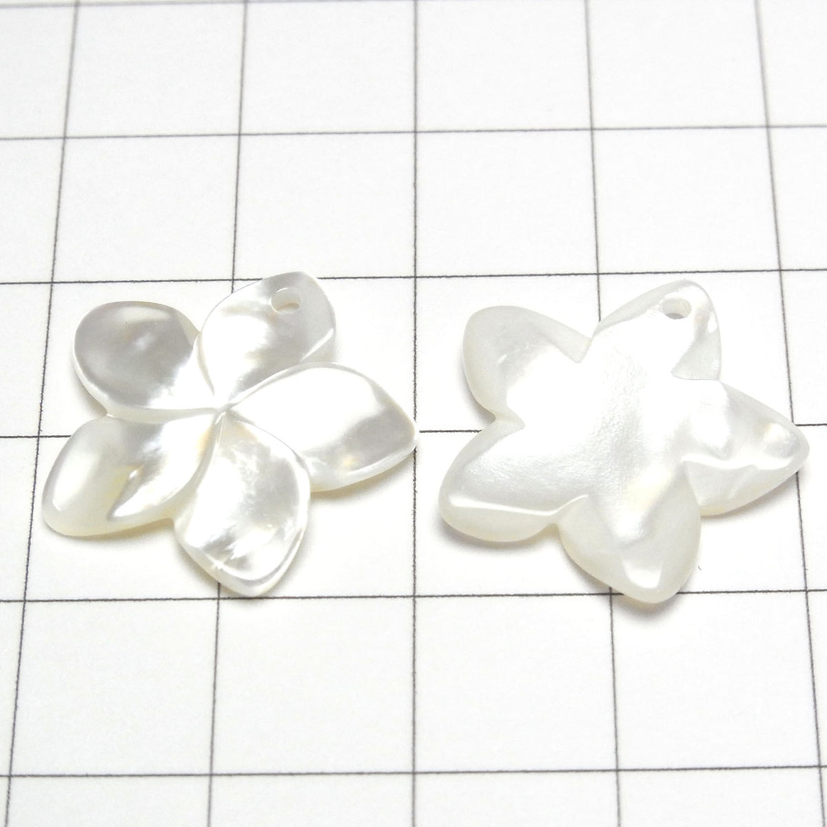 High-Quality White Shell AAA Flower 20mm 2pcs