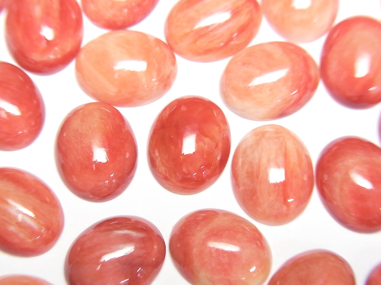 Stacheloyster-Schale ovaler Cabochon 10x8mm 1 Stück