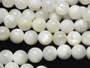 Mother of Pearl (Shell Beads) Pearl & Shell Beads