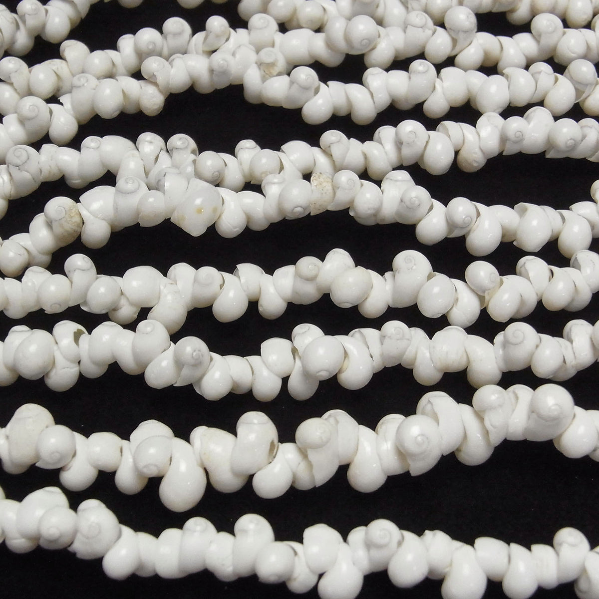 Mongo Shell 1strand beads (aprx.34inch/86cm)