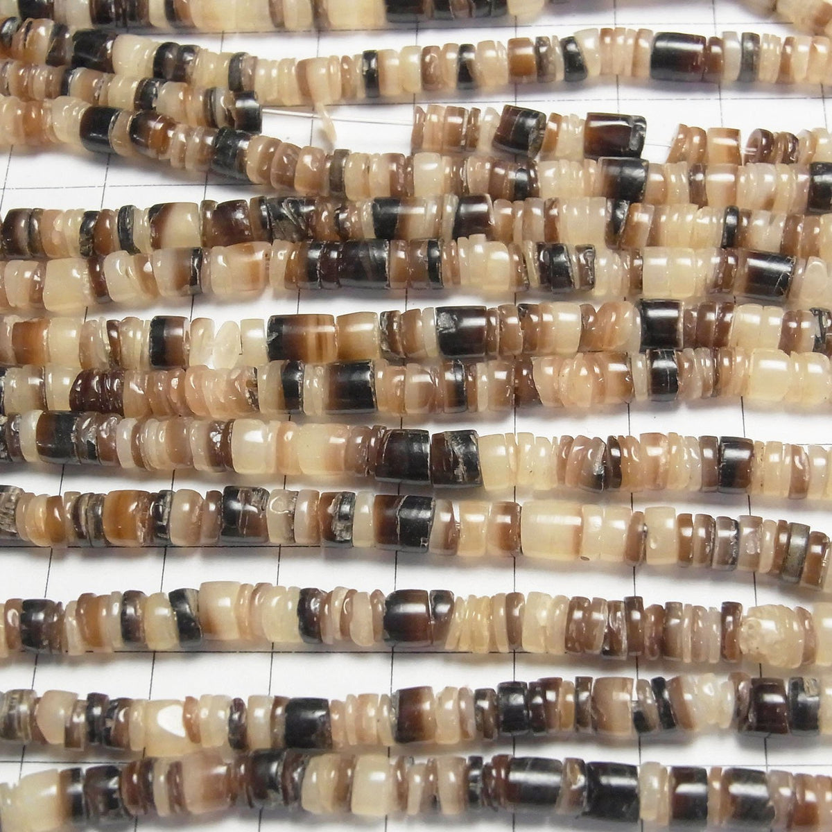 Brown Lip Shell Rondelle (Heishi)5x5x1mm 1strand beads (aprx.24inch/60cm)