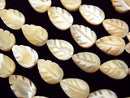 Mother of Pearl (Shell Beads) Pearl & Shell Beads