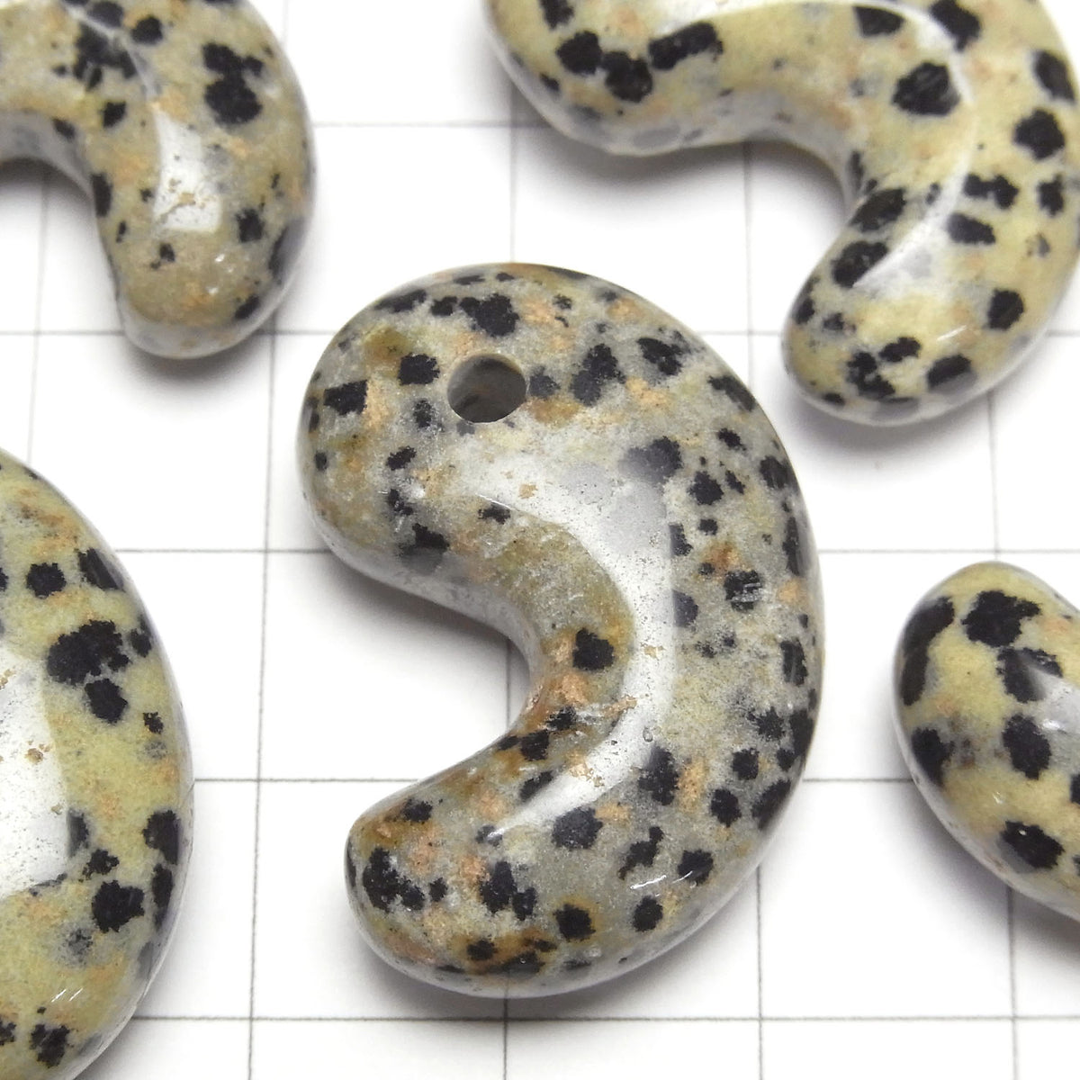 Dalmatian Jasper Comma Shaped Bead 30x20mm 1pc