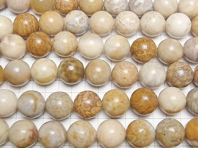[Video] Fossil Coral Round 20mm half or 1-strand beads (approx. 15 inches/36 cm)
