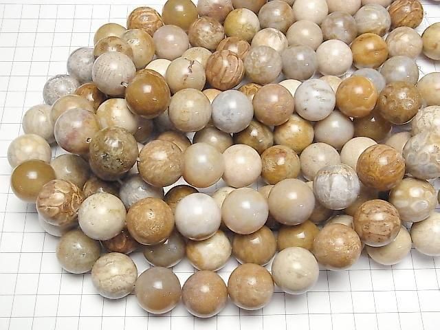 [Video] Fossil Coral Round 20mm half or 1-strand beads (approx. 15 inches/36 cm)