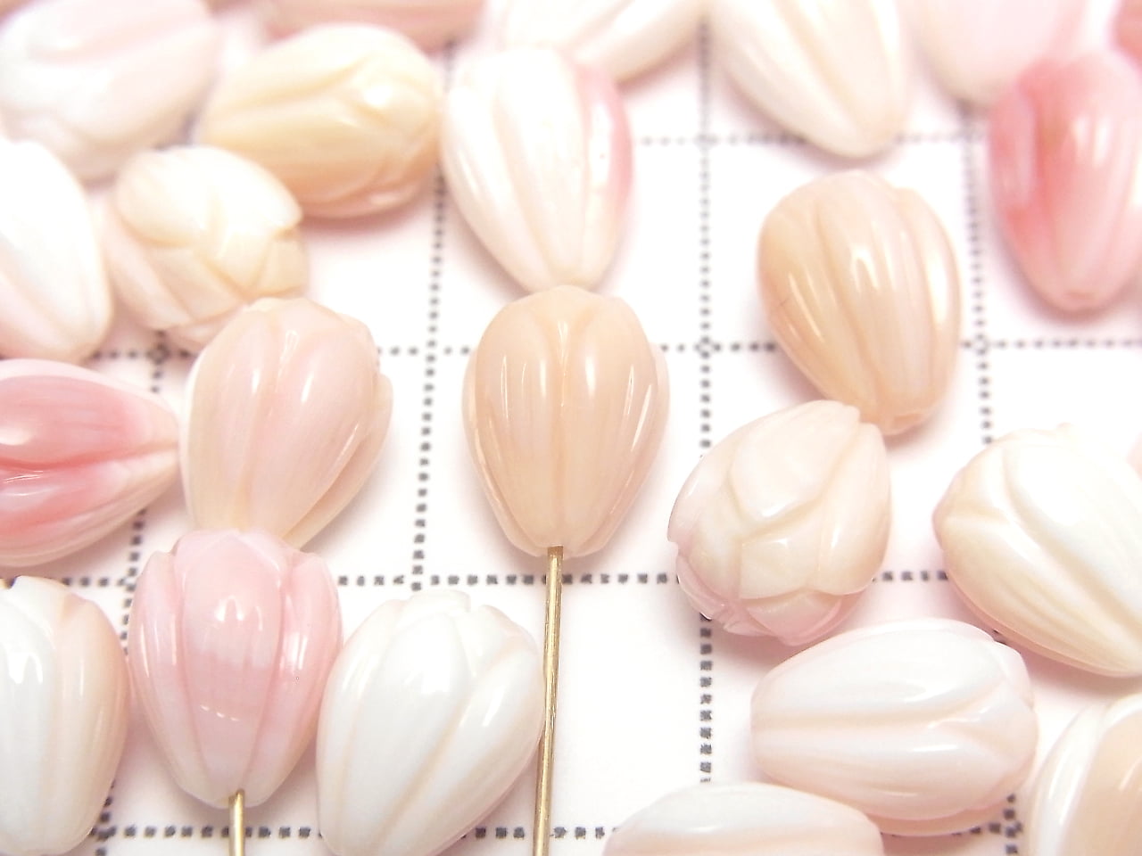 [影片] 鳳凰螺殼 AAA - 花苞 9x7x7公釐 [半孔] 5顆