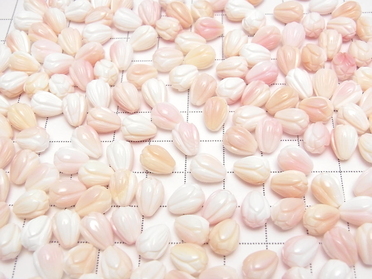 [影片] 鳳凰螺殼 AAA - 花苞 9x7x7公釐 [半孔] 5顆