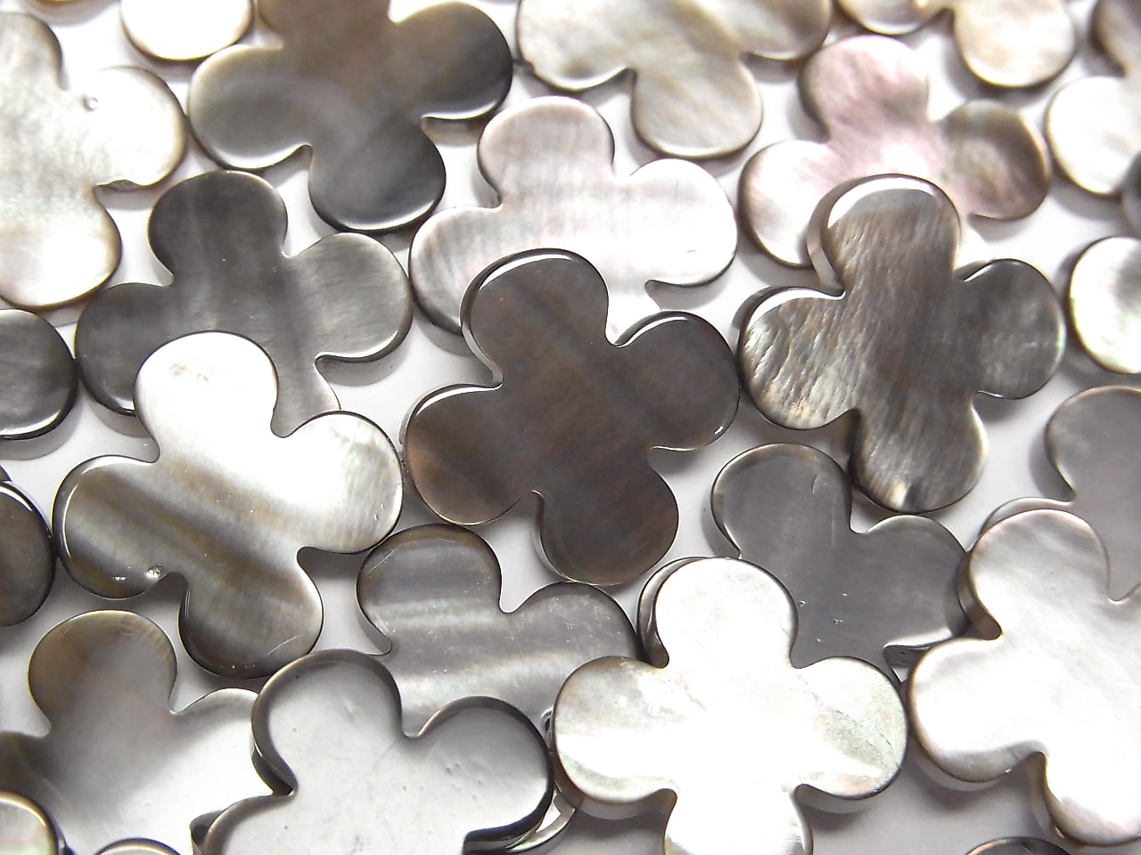 [Video] Black Shell AAA Flower Motif 15x15x3mm 1/4 or 1strand beads (aprx.15inch/38cm)
