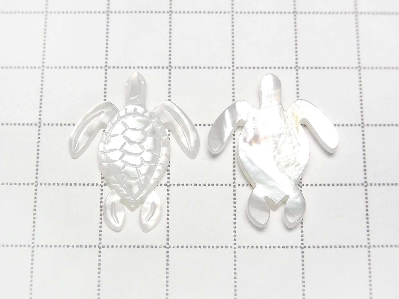 High quality white shell AAA turtle shape 25x20x2.5mm 1pc