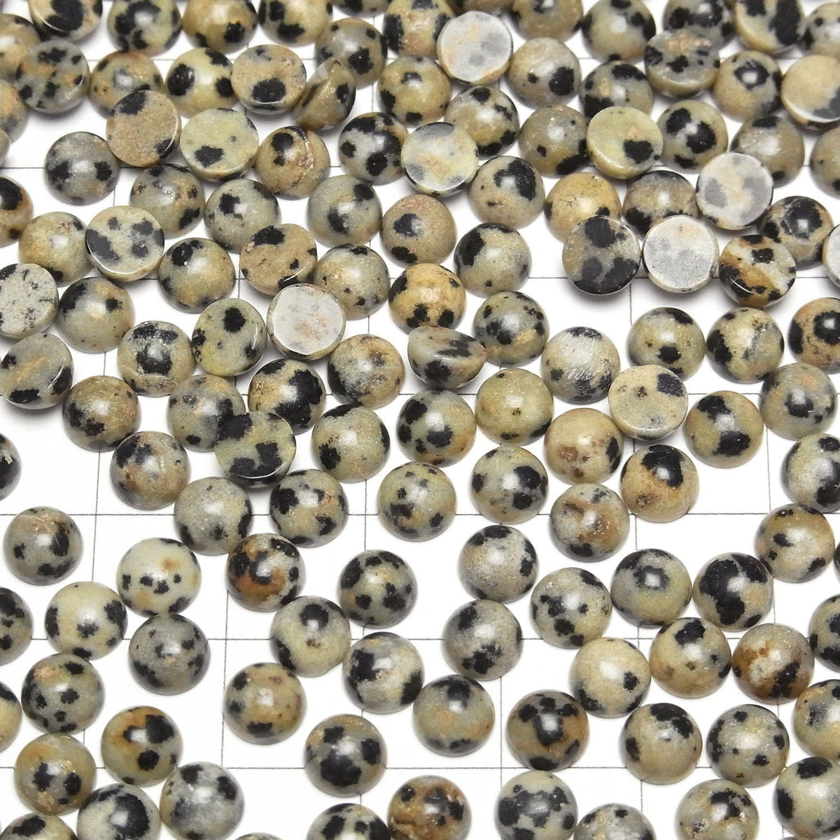 Dalmatiner-Jaspis Rund Cabochon 6x6mm 5 Stück