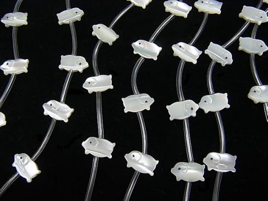 [Video] 1strand $8.79! High Quality Mother of Pearl MOP AAA Pork Shape White 1strand (Approx 14pcs)
