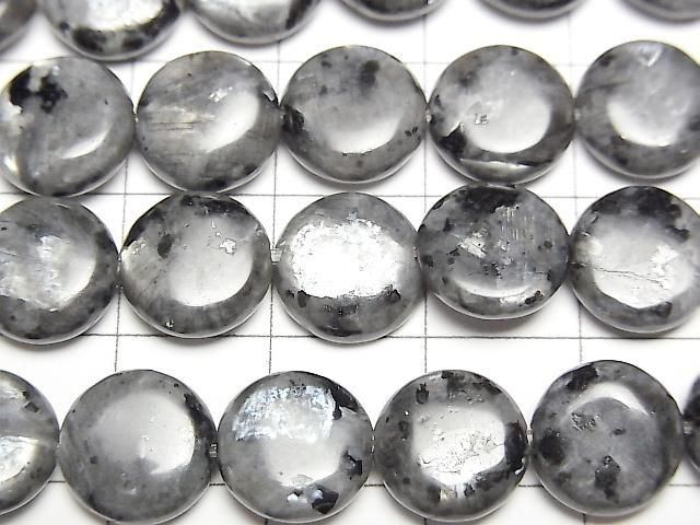 [Video] Larvikite Coin 10x10mm 1strand beads (approx. 15 inches/38 cm)