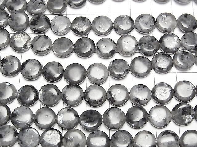 [Video] Larvikite Coin 10x10mm 1strand beads (approx. 15 inches/38 cm)