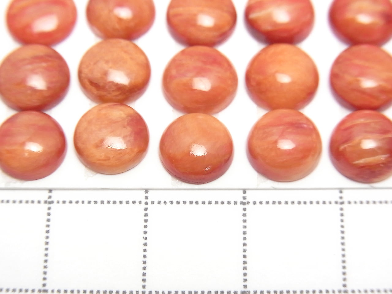 [Video] Spiny Oyster Shell Round Cabochon 8x8mm 1pc