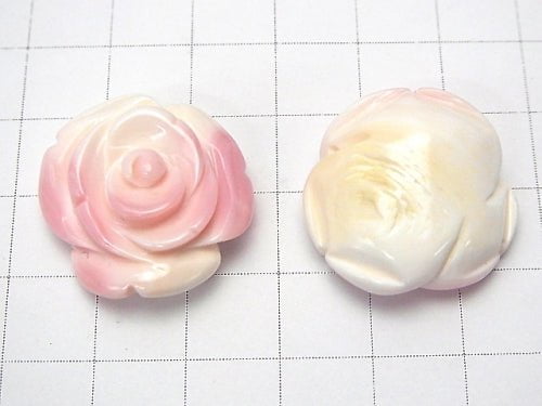 [Video] 1pc $7.79! Queen Conch Shell Rose [Drilled Hole] 23mm 1pc