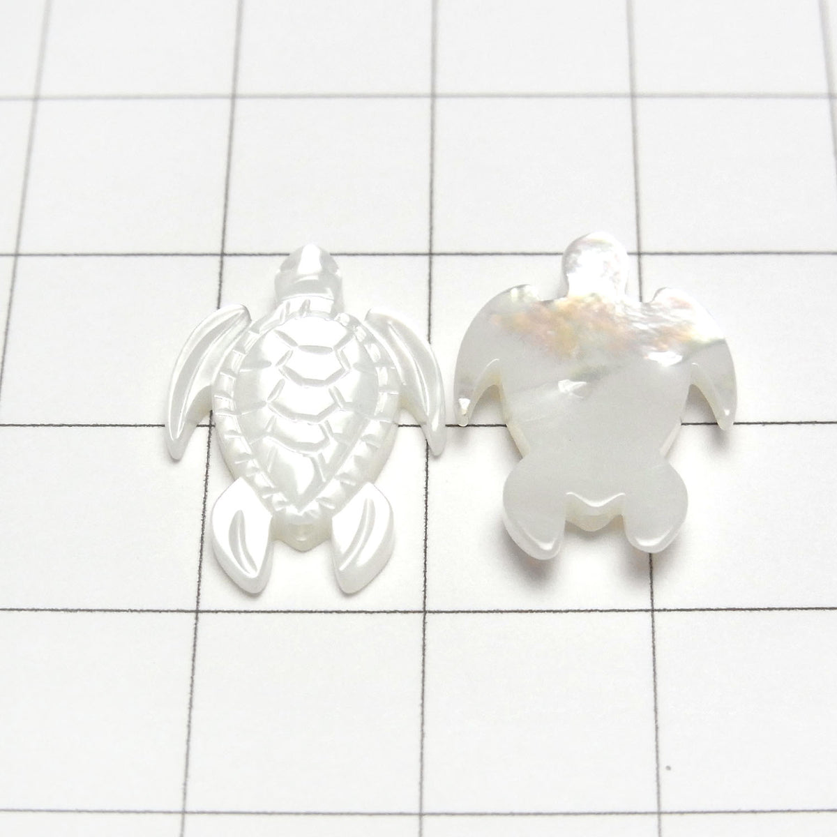 高品質白色貝殼 AAA 烏龜形 18x13mm 2入