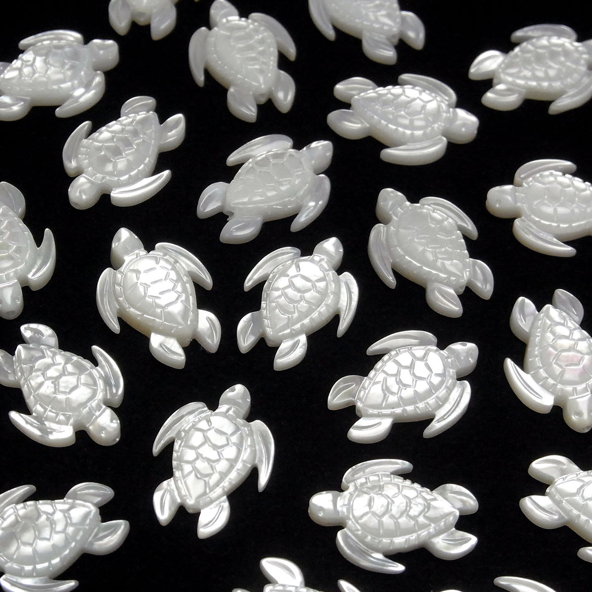 高品質白色貝殼 AAA 烏龜形 18x13mm 2入