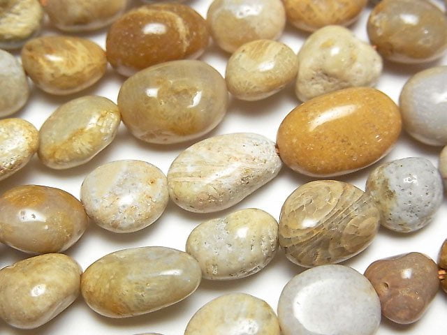 [Video] Fossil Coral  Nugget  1strand beads (aprx.15inch/37cm)