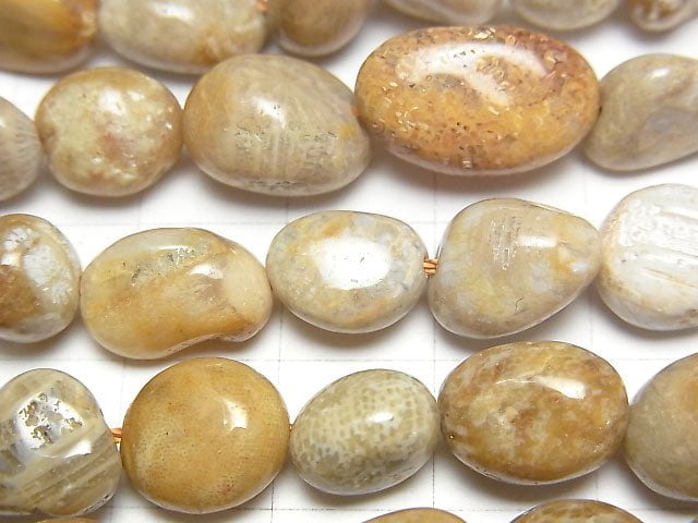 [Video] Fossil Coral  Nugget  1strand beads (aprx.15inch/37cm)