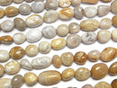 [Video] Fossil Coral  Nugget  1strand beads (aprx.15inch/37cm)