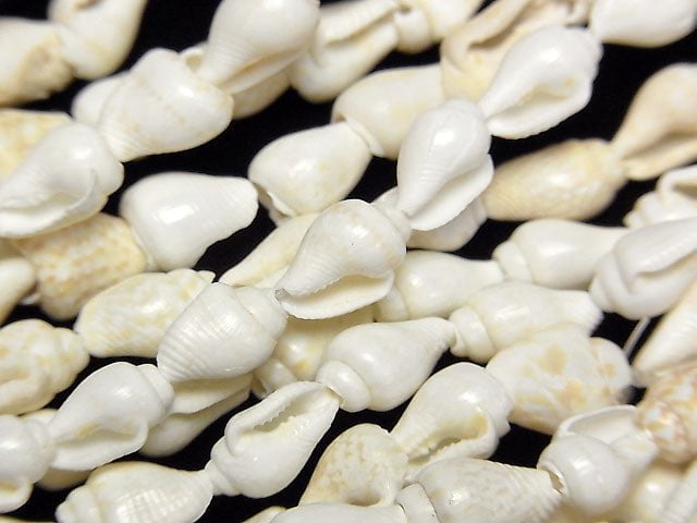 Spiral Shell beads Vertical Hole 1strand beads (aprx.57inch / 146cm)