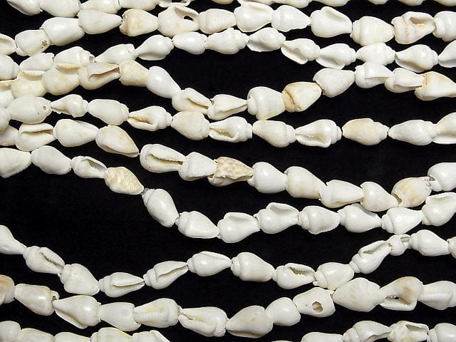 Spiral Shell beads Vertical Hole 1strand beads (aprx.57inch / 146cm)