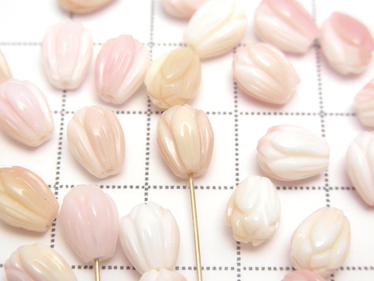 [影片] 女王鳳凰螺 AAA - 花苞 8x6x6mm [半孔] 3顆