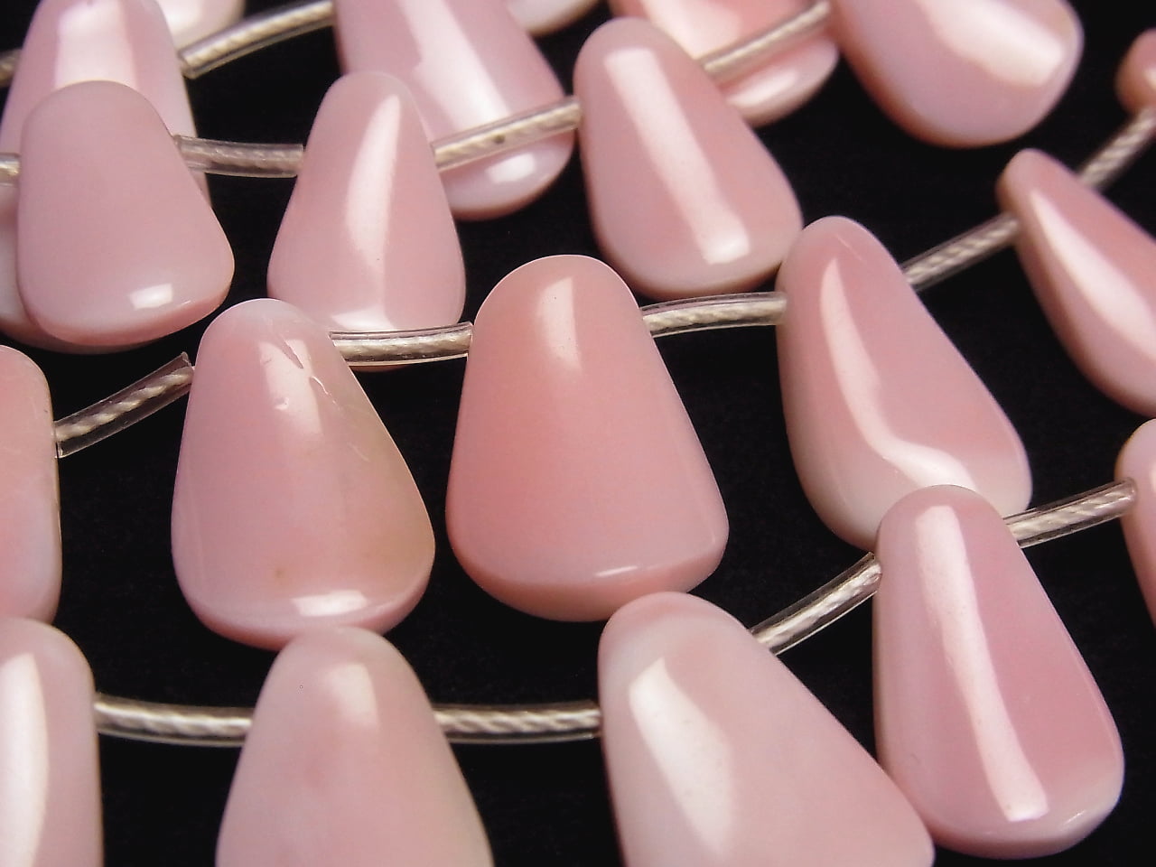 Queen Conch Shell AAA Twist Pear shape half or 1strand beads (aprx.15inch/36cm)