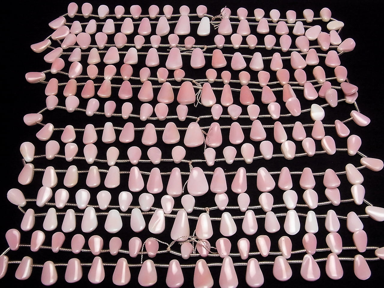 Queen Conch Shell AAA Twist Pear shape half or 1strand beads (aprx.15inch/36cm)